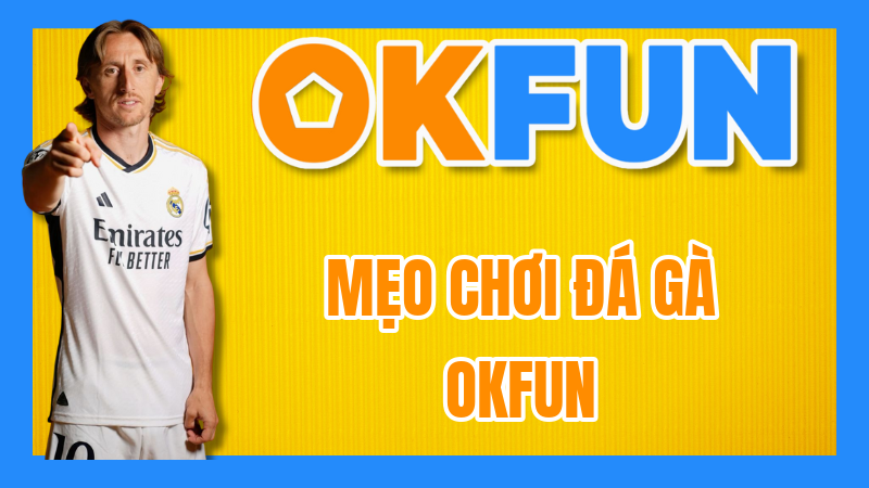 Mẹo Chơi Đá Gà OKFUN: Bí quyết "bách chiến bách thắng" từ các sư kê – Phân tích chiến thuật, tối ưu hóa lợi nhuận!